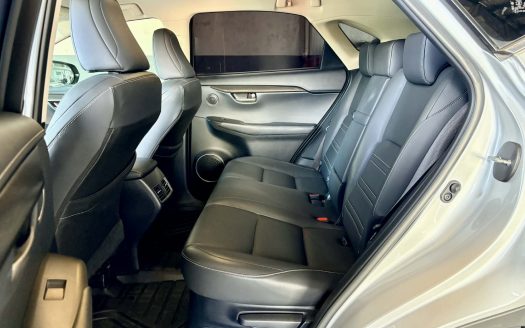 2017 LEXUS NX200T AWD A/T.